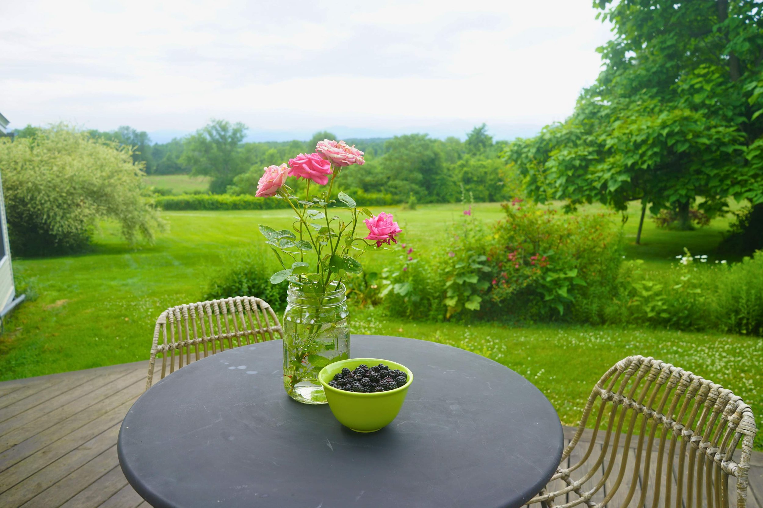 Outdoor patio table with pink roses in a glass jar and a bowl of blackberries on a wooden deck, overlooking a lush green garden with trees and open sky.