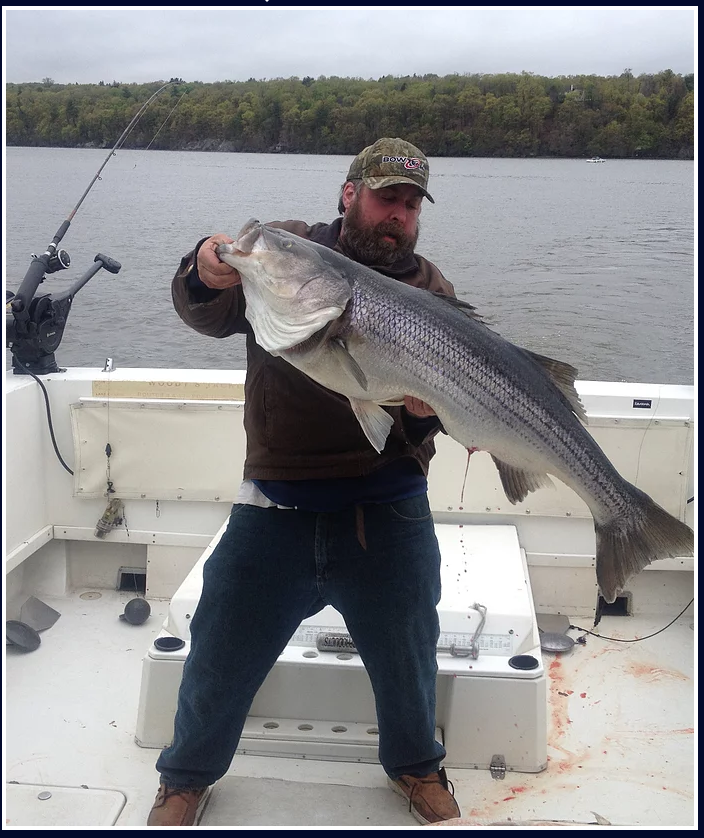Cloud Nine Charters
