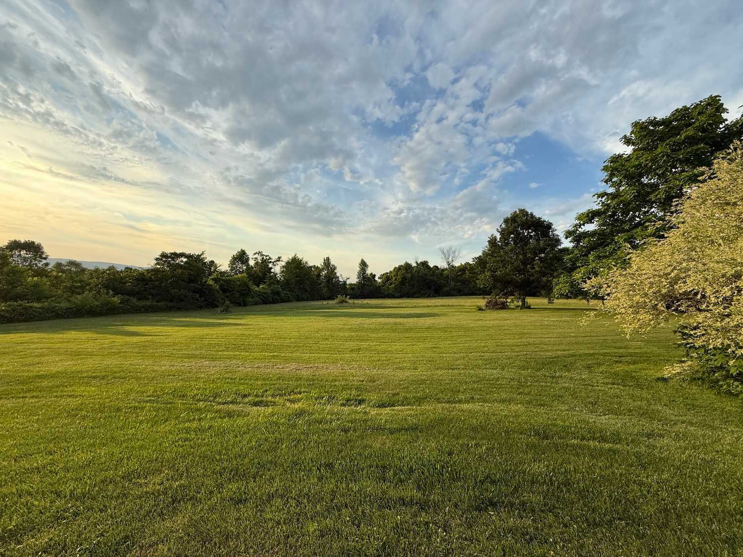 Farm House grounds